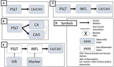 Causal Inference Analysis for Poorly Soluble Low Toxicity Particles, Lung Function, and Malignancy